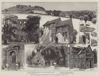 Treffen des Royal Archaeological Institute in Salisbury, besuchte Orte